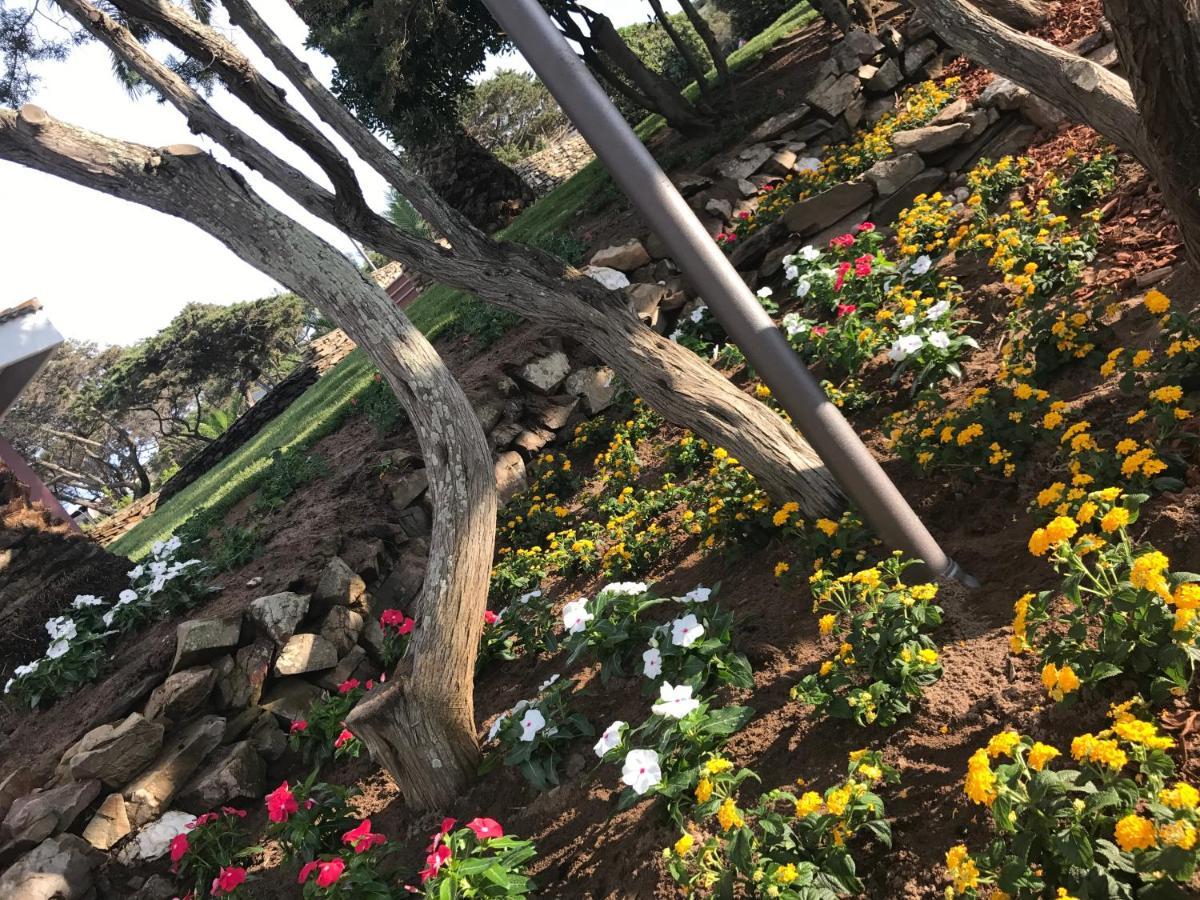 Club Esse Sporting Hotel Stintino Bagian luar foto