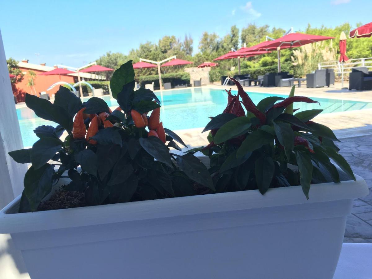 Club Esse Sporting Hotel Stintino Bagian luar foto